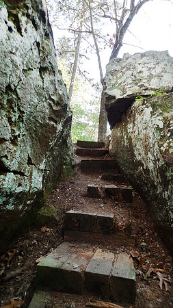 Steps along the trail