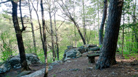 A bench along the trail