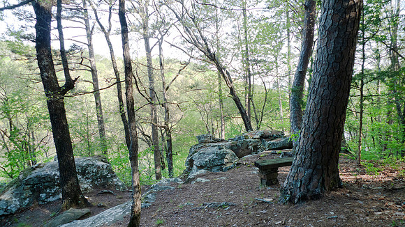 A bench along the trail
