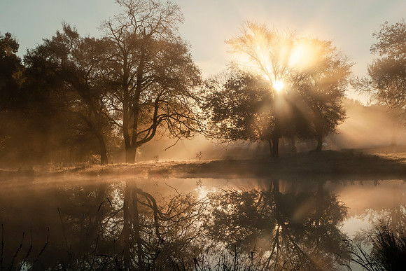 Sunbeams and reflections on a foggy dawn in golden light