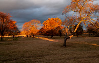 Sunrise in autumn with a dark sky