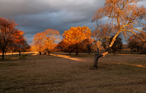 Sunrise in autumn with a dark sky