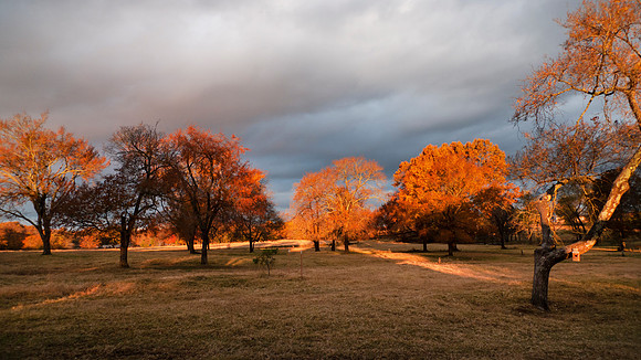 Sunrise in autumn with a dark sky