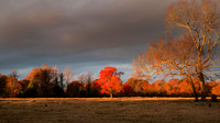 Sunrise in autumn with a dark sky