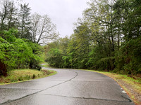 Curving road through the forest, Northwest Arkansas