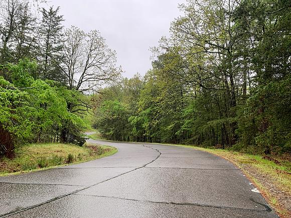 Curving road through the forest, Northwest Arkansas