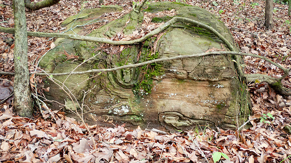 Rock with interesting erosion