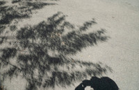 2024 Solar Eclipse, New Blaine, Arkansas, fun shadows of leaves