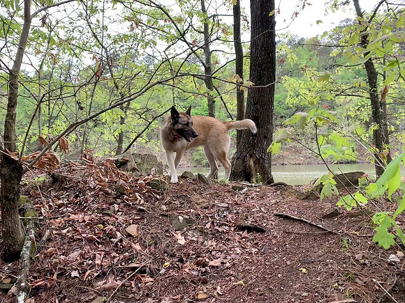 Candy having fun on the hike