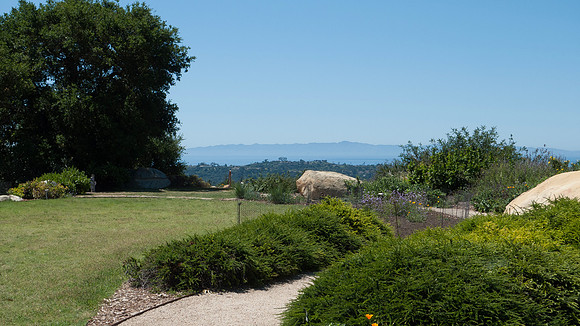 Santa Barbara Botanical Garden walking path with wildflowers