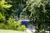 Hidden waterfall framed by lush green trees.