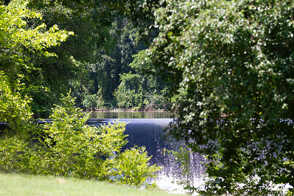 Hidden waterfall framed by lush green trees.