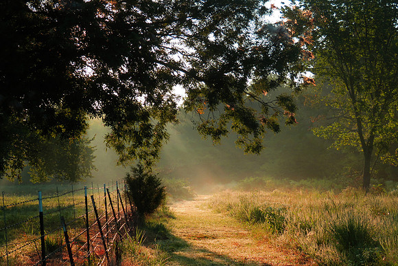 The Path 24x16