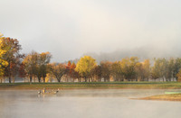 Fishing at Empire Park