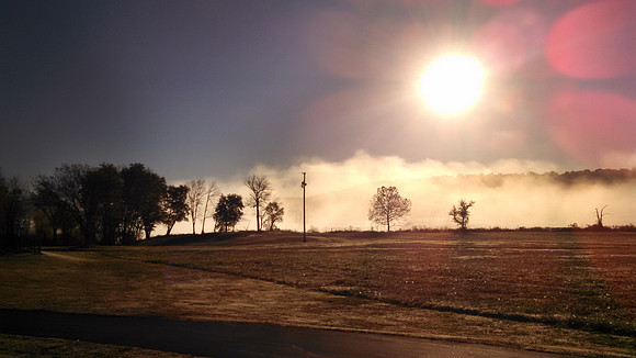 Misty Morning