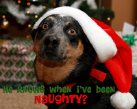 He knows when I've been naughty?