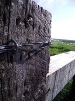 Fence post with barbed wire