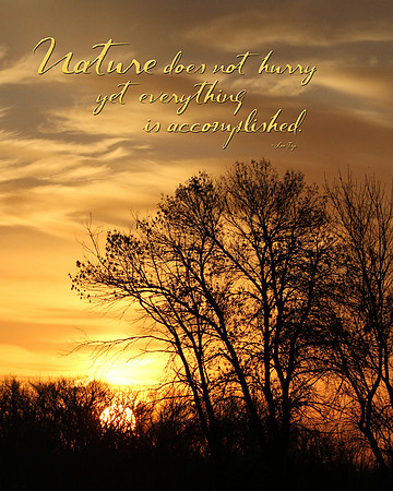 Nature does not hurry yet everything is accomplished