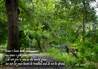 Peace I leave with you