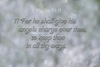 Psalm 91:11 For he shall give his angels charge over thee, to keep they in all thy ways