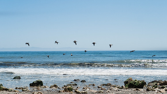 Arroyo Burro Beach, Santa Barbara, features rocks in the sand