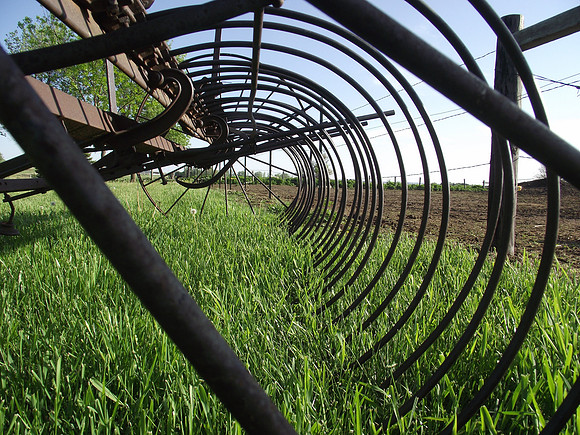 Antique Rake in a Field