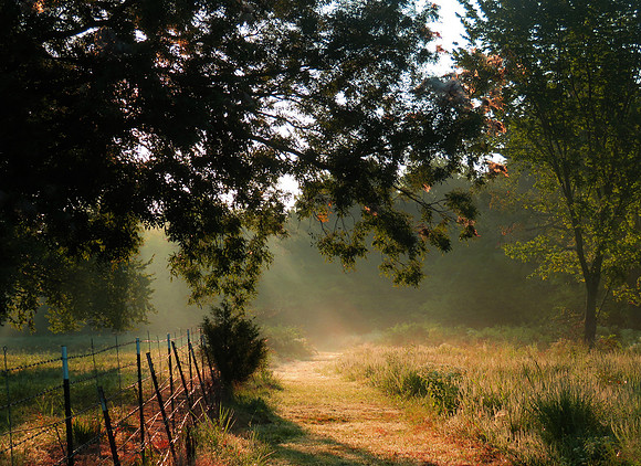 The Path 22x16