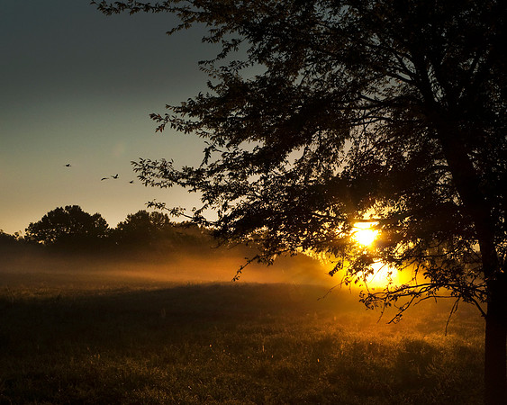 Last days of summer II