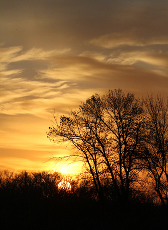 Sunrise at DeSoto