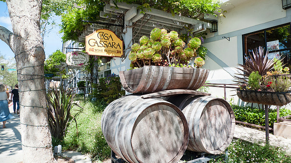Solvang, California sidewalk with flowers and trellis outside Ca